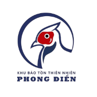 Phong Dien Logo